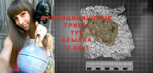 прущие грибы Семилуки