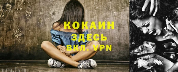 прущие грибы Семилуки