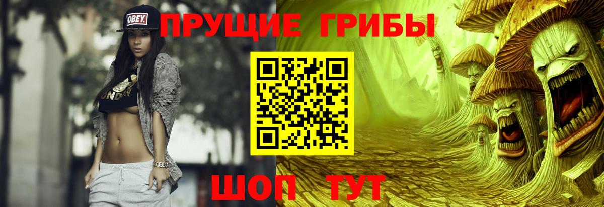Каспийск  Псилоцибиновые грибы Psilocybe  Вход с VPN  Псилоцибиновые грибы мицелий 