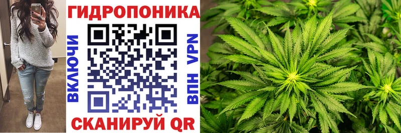 Бошки марихуана OG Kush  Каспийск 